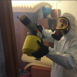 Уничтожение клопов в квартире. Площадь Ленина